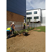 Canterbury Lanscaping Services